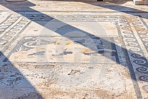 Mosaics at ancient ruins of Delos island in Greece