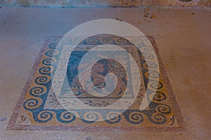 Mosaics at ancient ruins of Delos island in Greece