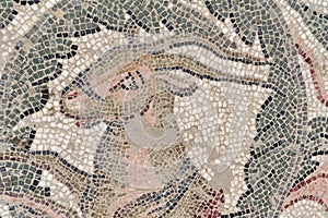 Mosaics of roman villa of piazza armerina 6 photo