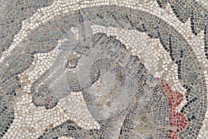 Mosaics of roman villa of piazza armerina 8 photo