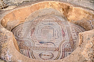 Mosaics in Sbeitla