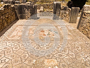 Mosaics at Volubilis Morocco