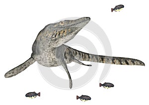 Mosasaur Tylosaurus isolated on white background