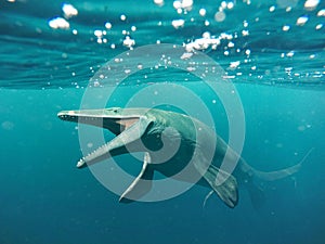 Mosasaurus, 17m aquatic lizard, between 70 and 66 million years ago