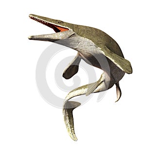 Mosasaurus, 17m aquatic lizard, between 70 and 66 million years ago 3d illustration isolated on white background