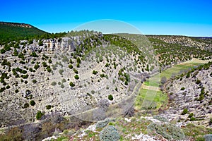 Moscardon La Canada Sierra Albarracin in Teruel