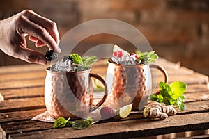 Moscow Berry Mule highball vodka cocktail is a long drink with fresh lime juice, ginger beer and berries