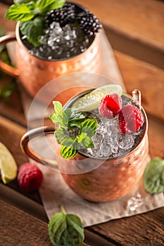 Moscow Berry Mule highball vodka cocktail is a long drink with fresh lime juice, ginger beer and berries