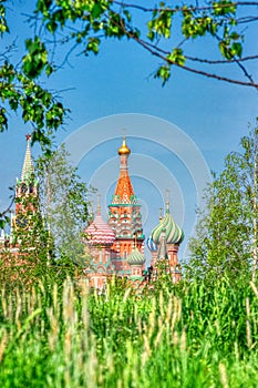 Moscow Kremlin and St. Basil`s Cathedral in summer against the background of green birches
