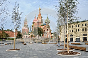 Moscow Landmarks Framed by Birch Trees