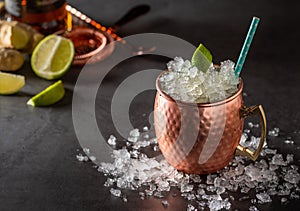 Moscow mule cocktail in copper cup with lime, ginger beer, vodka and mint garnish