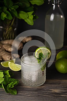 Moscow Mule Cocktail Isolated on White Background. A Moscow mule is a cocktail made with vodka, spicy ginger beer, and