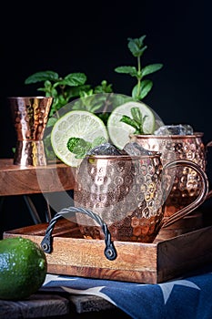 Moscow Mule Drinks in Copper Mugs