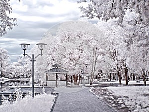 Moscow. Municipal park. Infra-red photo