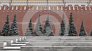 Moscow red square, Kremlin wall with blue fir trees in winter
