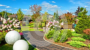 Landscape design at residential house. Beautiful landscaping in home garden. Panoramic view of nice landscaped garden in backyard