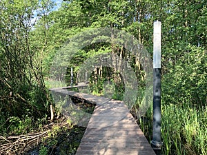 Moscow region, the city of Balashikha. Park zone Solnechnaya Sunny on the Bank of the Pekhorka river in summer day