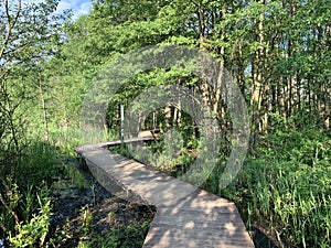 Moscow region, the city of Balashikha. Park zone Solnechnaya Sunny on the Bank of the Pekhorka river in summer day