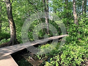 Moscow region, the city of Balashikha. Park zone Solnechnaya Sunny on the Bank of the Pekhorka river in the summer morning