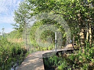 Moscow region, the city of Balashikha. Park zone Solnechnaya Sunny on the Bank of the Pekhorka river in the summer morning