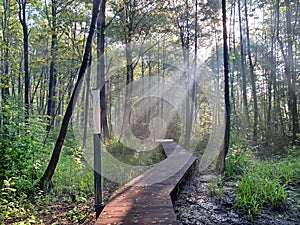 Moscow region, the city of Balashikha. Solnechnaya park in summer morning