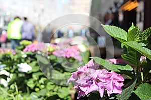 Moscow, Russia - 04 29 2019: Chinese, european tourists walking around Kamergersky lane. Tourists on the Moscow streets