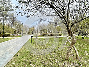 Moscow, Russia, April, 18, 2024.December Uprising Park in Moscow in cloudy spring weather