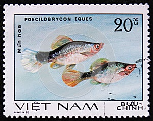 Poecilobrycon eques, Aquarium fishes serie, circa 1980