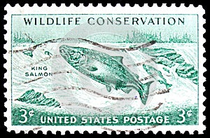 Chinook Salmon (Oncorhynchus tshawytscha), Wildlife Conservation Issue serie, circa 1956