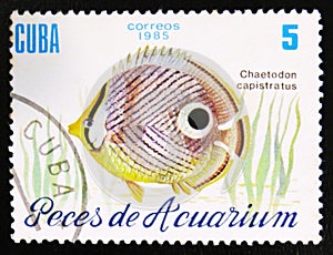 Fish with the inscription `Chaetodon capistratus`, the series `Aquarium fishes`, circa 1985