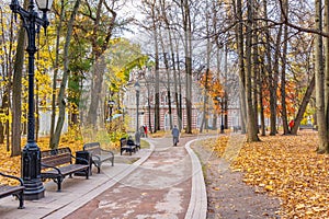 Moscow, Russia - October 16, 2019: Autumn in Tsaritsyno Park in Moscow. Footpath with benches against trees with yellow leaves in