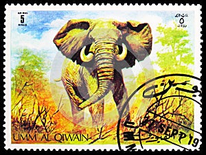 Postage stamp printed in Umm Al Quwain shows African Elephant (Loxodonta africana), Animals in the wild serie, circa 1971