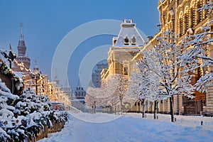 Covered Snow Trees with New Year Balls at GUM in Morning Twilight