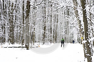 Moscow / Russian - January 2020: a male skier is skiing and people are walking in a snow covered winter forest or Park.