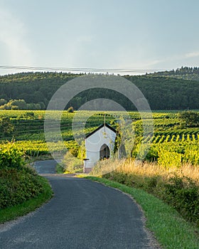 Mosel river