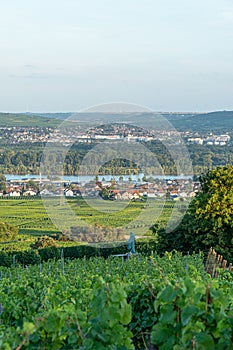 Mosel river