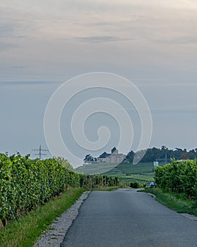 Mosel river