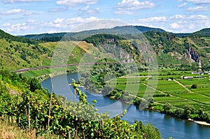 Mosel river Germany
