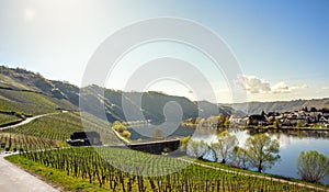 Mosel River and Vineyards Landscape at Piesport Rheinland Pfalz