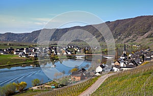 Mosel River and Vineyards Landscape at Piesport Rheinland Pfalz