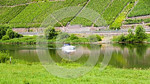 Mosel river and vineyards in summer day