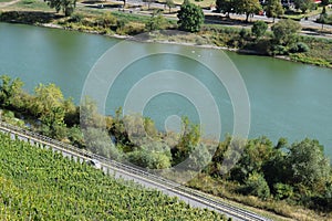 Mosel vally with vineyards and a classiv car passing