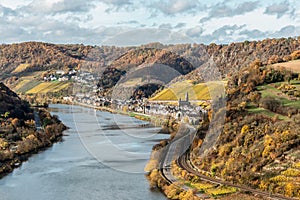 Mosele river wineyard germany rhineland palantino Beautiful orange and red autumn forest and wine plants