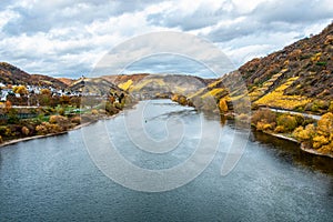 Mosele river wineyard germany rhineland palantino Beautiful orange and red autumn forest and wine plants