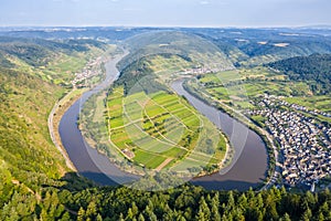 Moselle loop Calmont Mosel river landscape nature in Bremm Germany