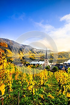 Moselle loop near Bremm in Germany. View of the church tower, sunrise, autumn and vineyards with yellow autumn leaves in the fog