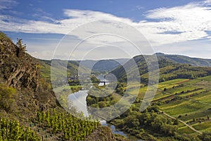 Moselle River in Germany, view of Calmont village and vineyards