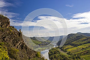 Moselle River in Germany, view of Calmont village and vineyards in the Mosel river valley, Germany