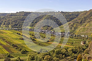 Moselle River valley in Germany, view of Bremm village and vineyards