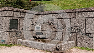 Moselle spring below the Col de Bussang